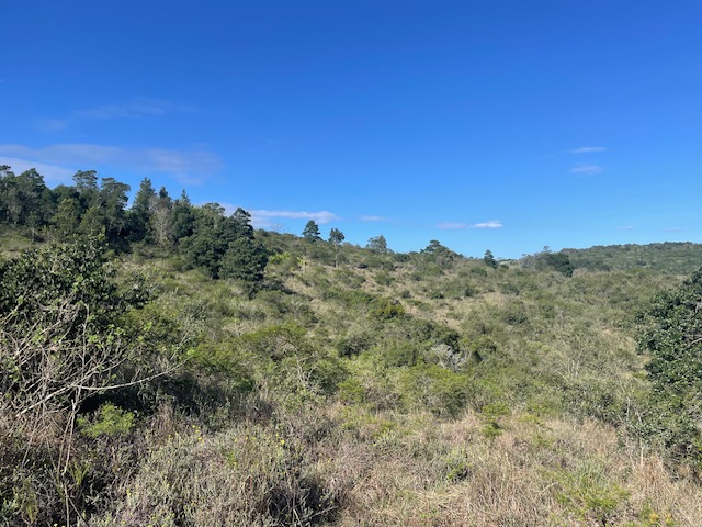 3 Bedroom Property for Sale in Summerpride Eastern Cape